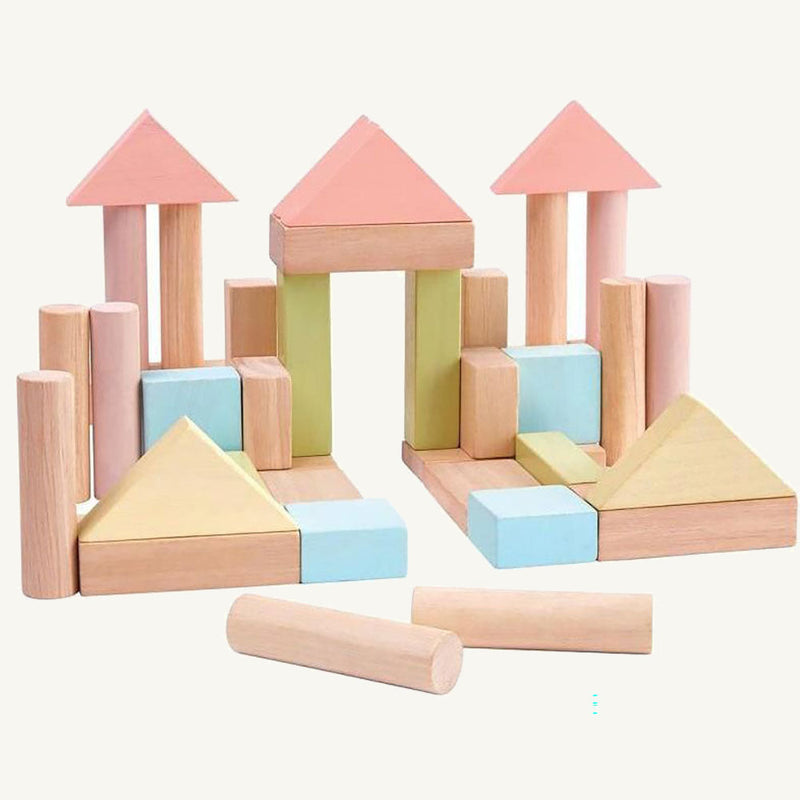 Pastel 40 Unit Blocks - PlanToys