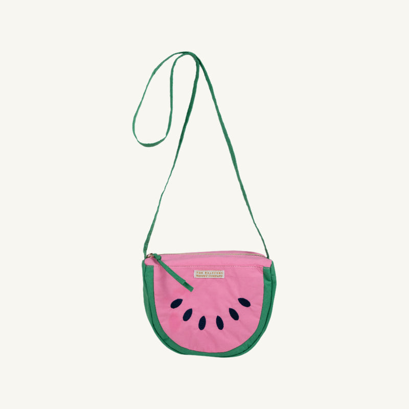 Save Your Pennies Purse - Watermelon